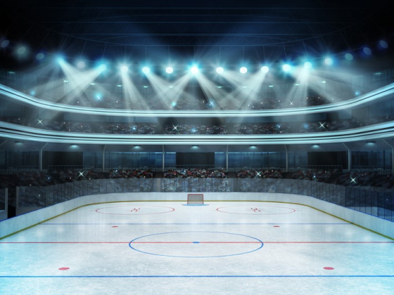 /media/8608/ledni-hokej_shutterstock