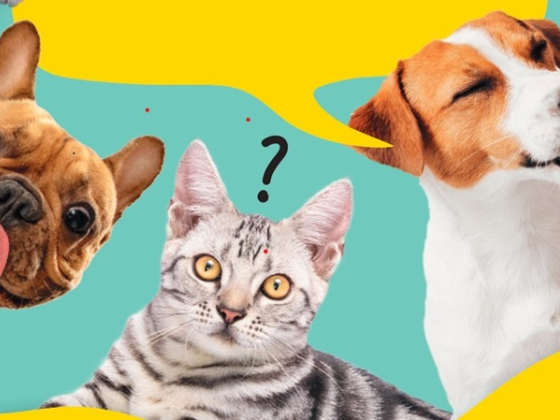 /media/nhblhg5q/billa_slider_kampan