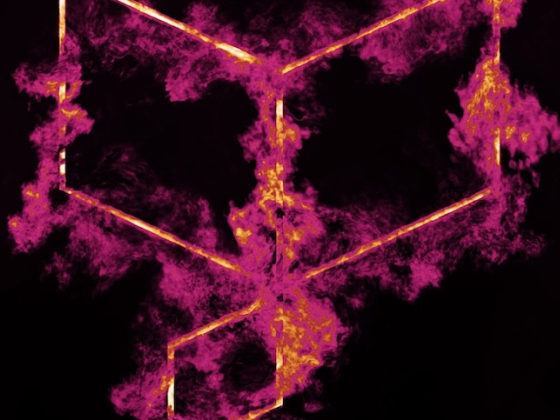 /media/4mrlee54/fenixawards