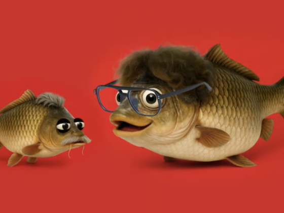 /media/24kjgiki/penny_genzersuchanek