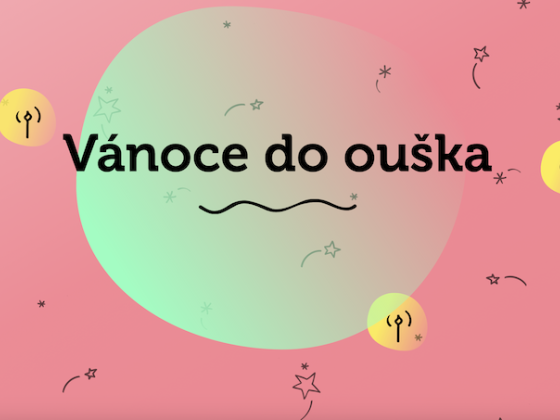 /media/tx2baa1o/nadaceleontinka_vanocedoouska