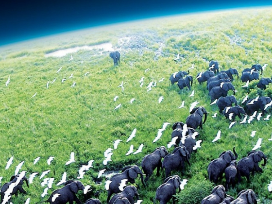 /media/16958/planeta-zeme