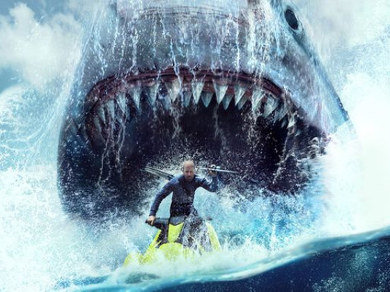 /media/26030/meg-2_vertical-ent