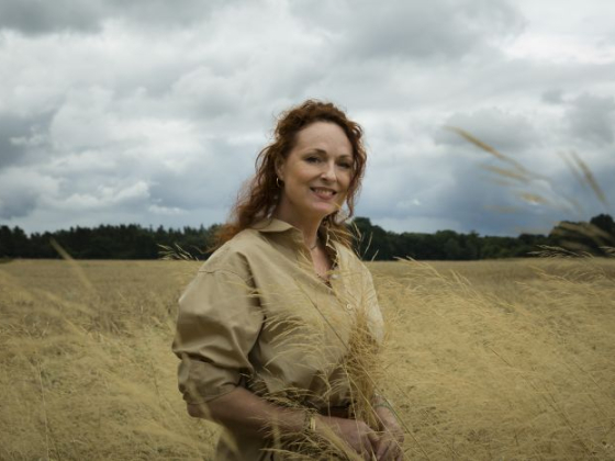 /media/26052/tv-paprika_amc-networks