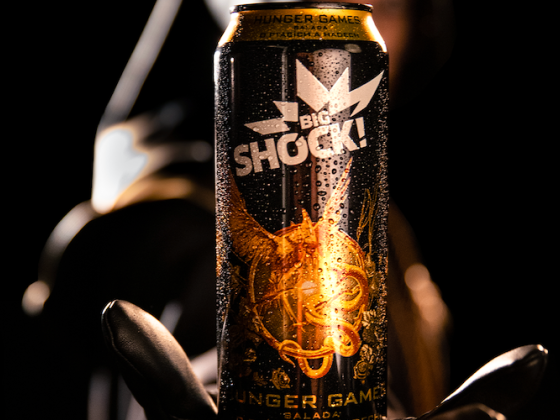 /media/26323/bigsock-a-hunger-games_slider