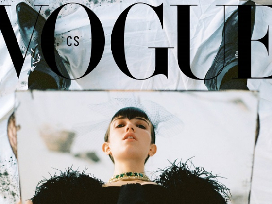 /media/7724/vogue-cs