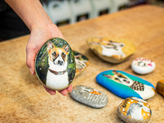 /media/25513/superzoo_gump