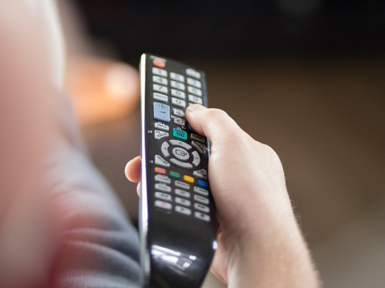 /media/25700/tv-divak-vyber_pixabay