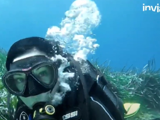 /media/hbrcslz1/invia_slider