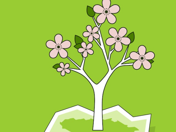 /media/flrhq2ci/air-bank_kde-kvete-laska