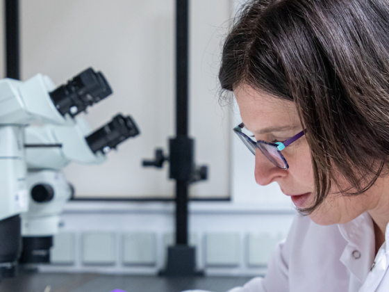 /media/gfcknz3z/slider_loreaparis