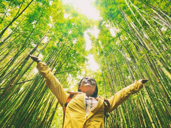 /media/16951/shutterstock_udržitelnost_2