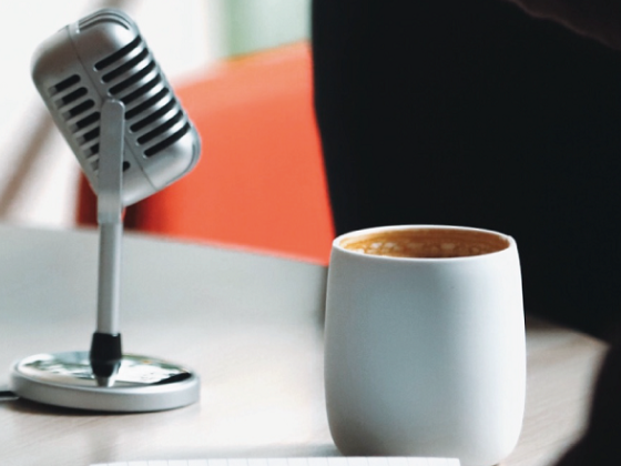 /media/17113/podcast