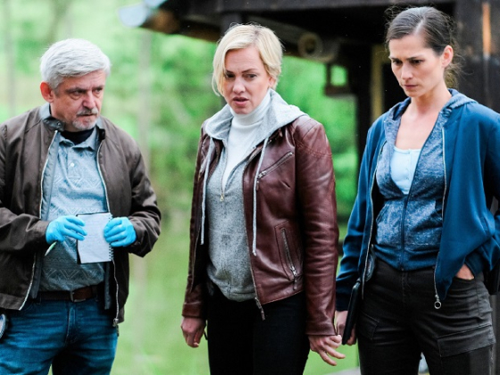 /media/23263/nova_odznak-vysocina