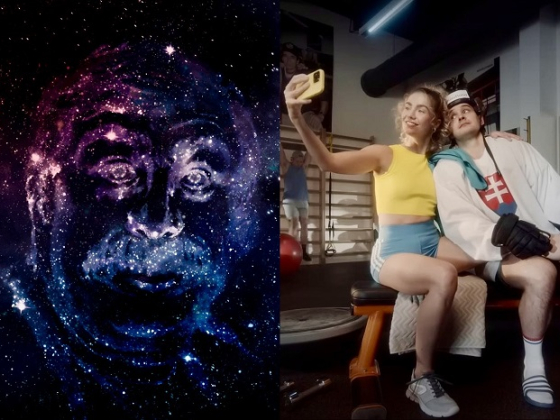 /media/25981/zlaty-klinec