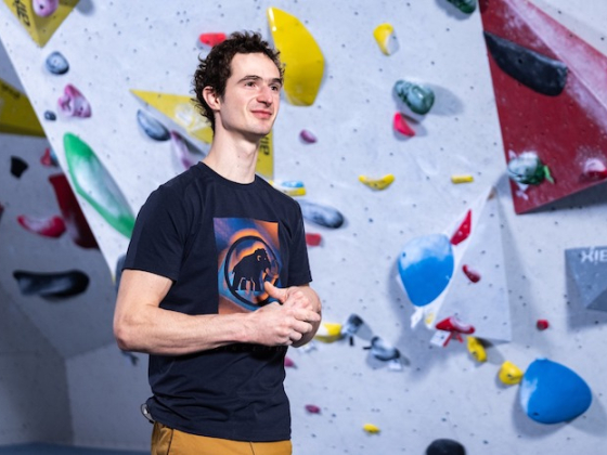 /media/cnfeamf2/adamondra