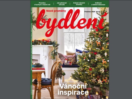 /media/swfbk0va/nove-promeny-bydleni