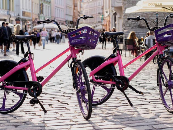 /media/1kdi3iuq/rekola-v-tallinnu-rekola_5-min