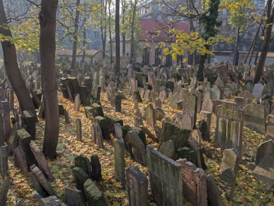 /media/kllb3cei/staryzidovskyhrbitov