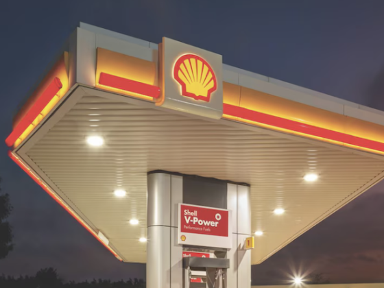 /media/drpo4zjo/shell