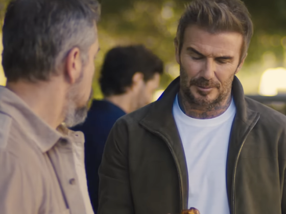 /media/hsgfx1dk/davedavid