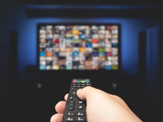 /media/11905/tv-divak