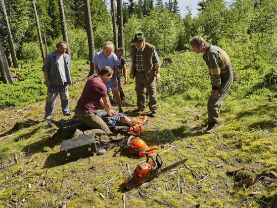 /media/22300/policie-modrava-2022_2