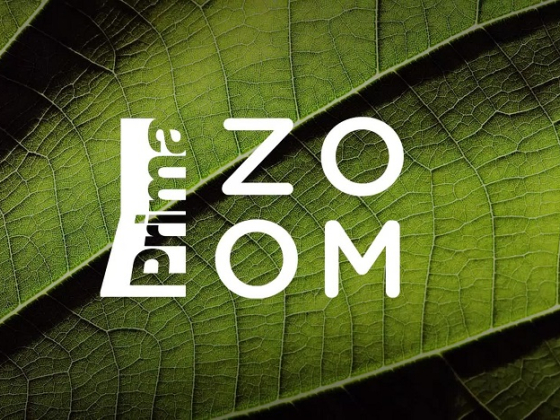 /media/24211/prima-zoom