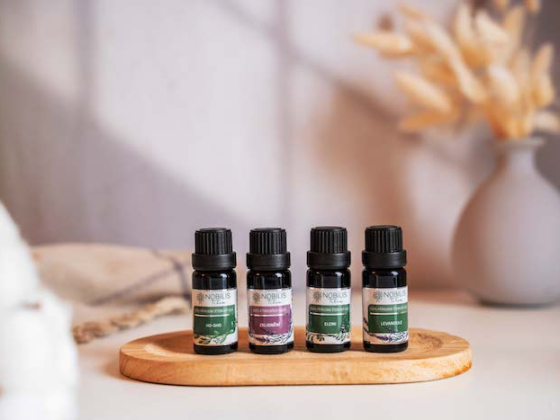 /media/zrddp2qb/nobilistilia_novavizualniidentita