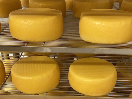 /media/qp5hjvjp/madeta