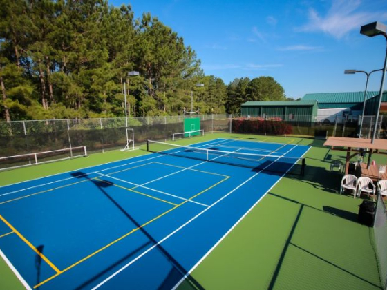 /media/24961/pickleball_pixabay