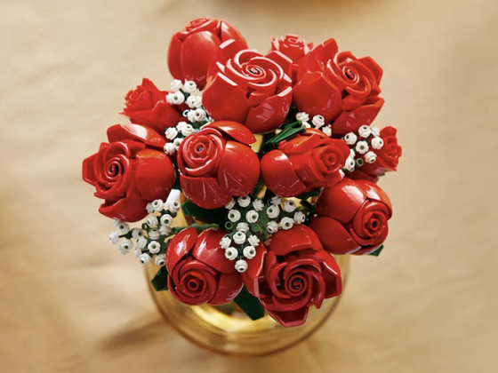 /media/qkudnw2z/lego_roses