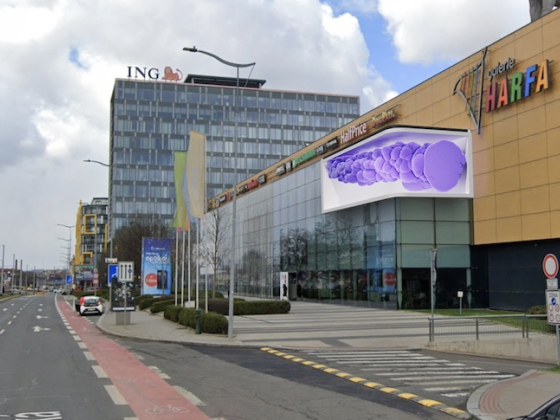 /media/xv1bvaqe/19021-harfa-českomoravská