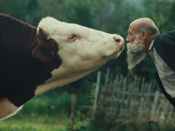 /media/gpmpz0zn/radeji-zesilet-v-divocine