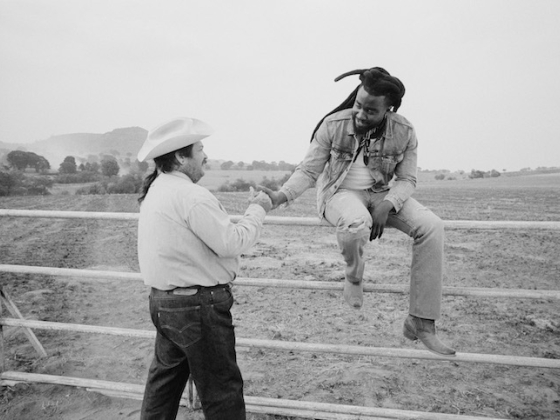 /media/ma4oio0w/levis_icons