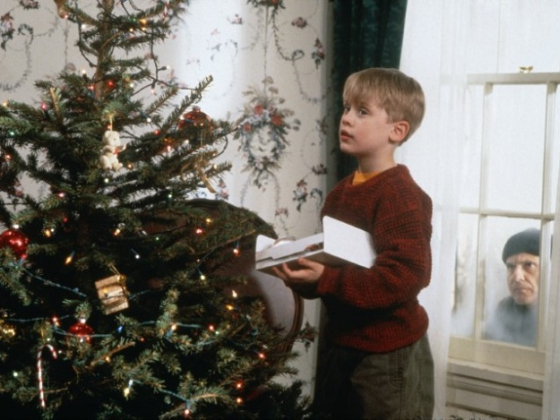 /media/23120/sám-doma