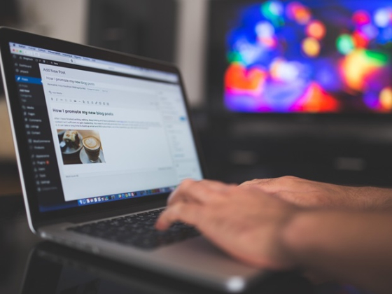 /media/czydumdq/online_pc_kreativita_pixabay