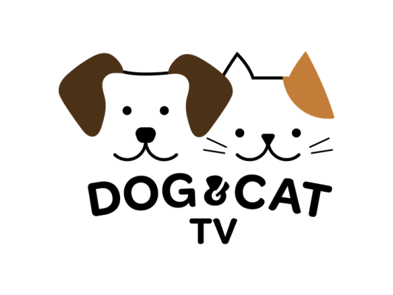Dog_Cat_TV_2025