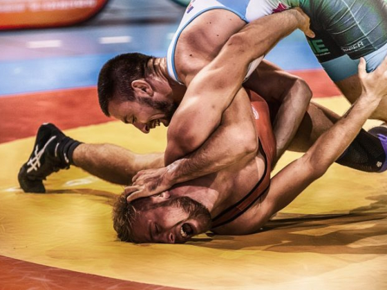 /media/26472/wrestling_pixabay