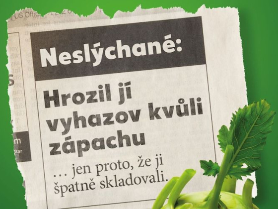 /media/vuwclbz1/kaufland_nekrmkos_kedlubna_vyska