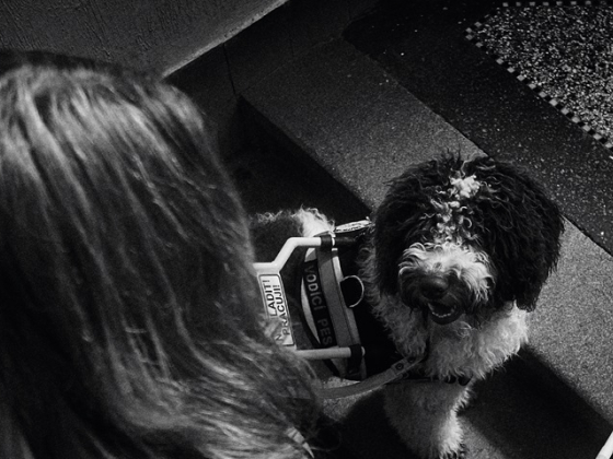 /media/1tdgudyv/helppes_2