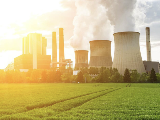 /media/nkib4ibx/tameh