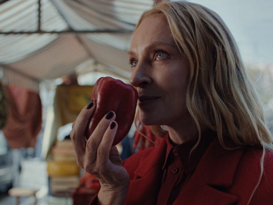 /media/clqjdk51/zalando_aw25_pr_pr4_rgb