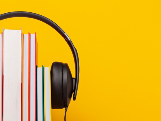 /media/19517/audioknihy