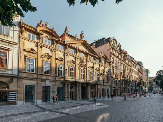 /media/aq0oh25o/crestyl_palác-savarin