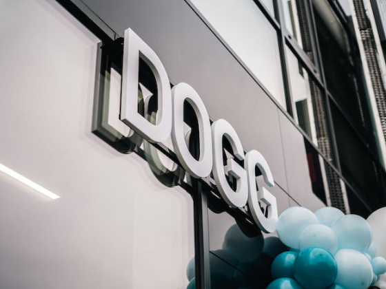 /media/gmvgmnl3/dogg_ricany