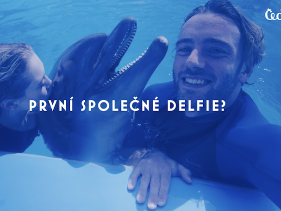 /media/b5nhbnmy/slider_cedok_delfie