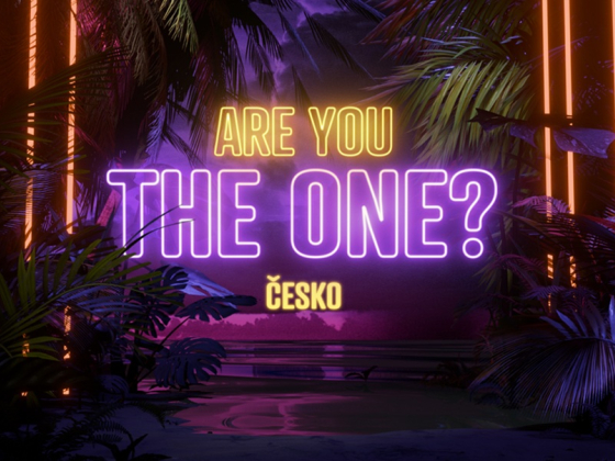 Are you the one