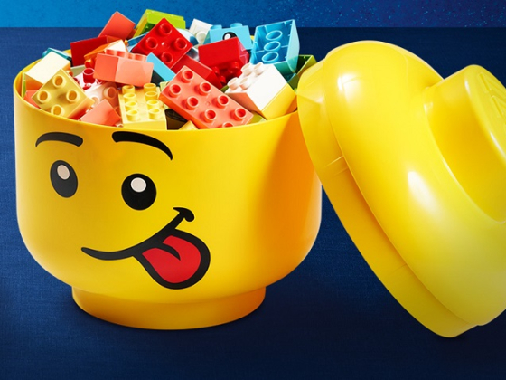 /media/22930/albert_lego