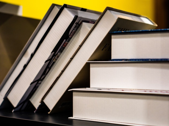 /media/2iydcngf/knihy_pixabay